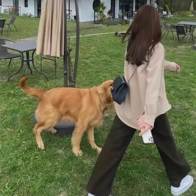 那些人们